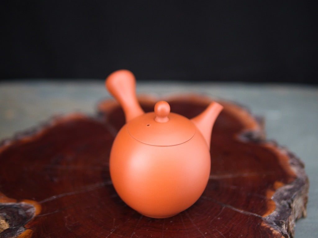 Kôji Kyûsu 150 ml