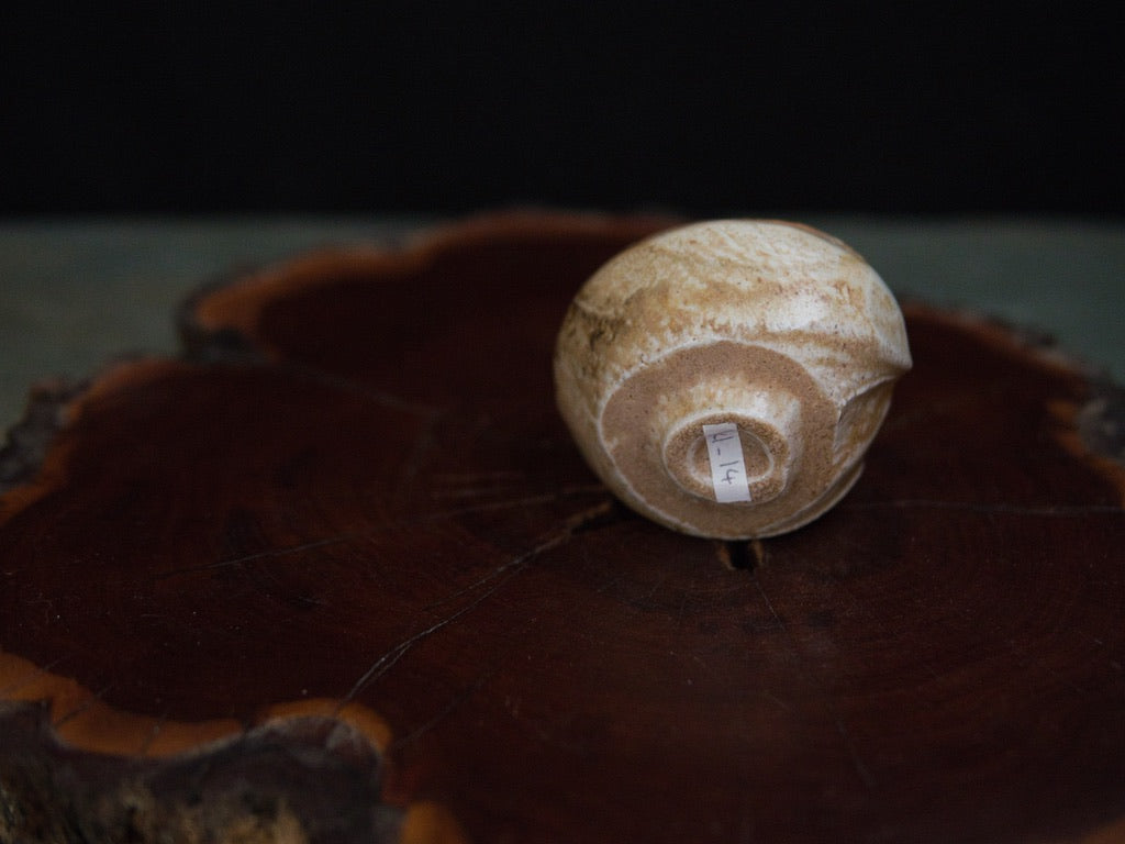 Ishida Kazuya Guinomi 50 ml