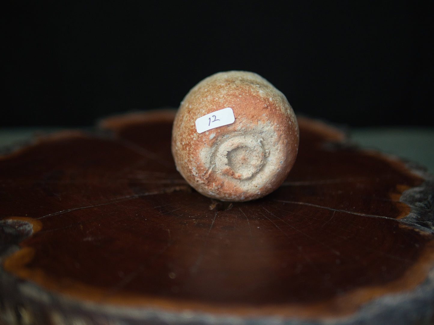 Yanashita Hideki Shigaraki Guinomi 75 ml