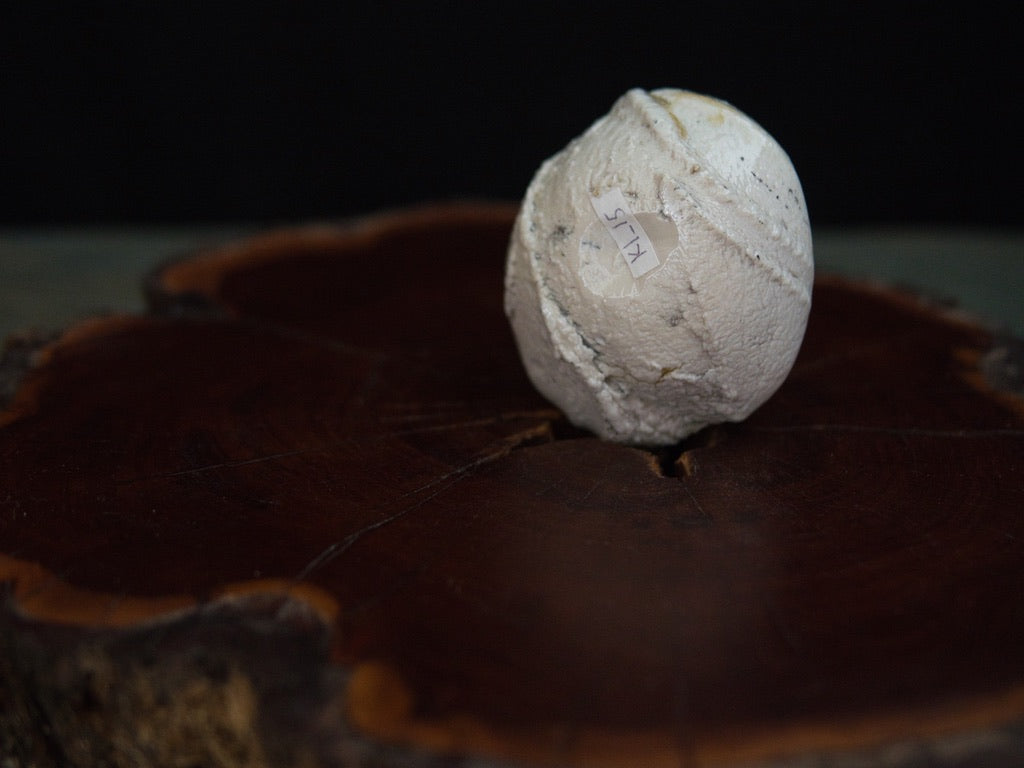 Ishida Kazuya Guinomi 45 ml