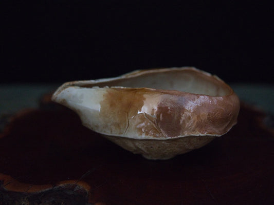 Ishida Kazuya Chahai 110 ml