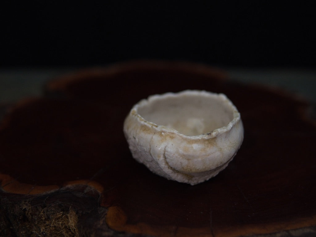 Ishida Kazuya Guinomi 45 ml