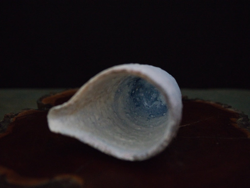 Ishida Kazuya Chahai 180 ml