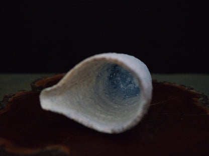 Ishida Kazuya Chahai 180 ml