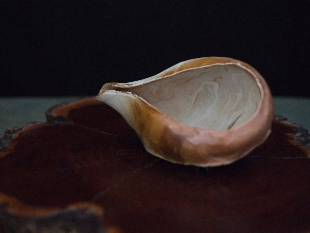 Ishida Kazuya Chahai 110 ml