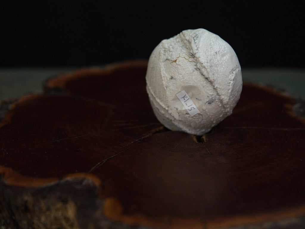 Ishida Kazuya Guinomi 45 ml