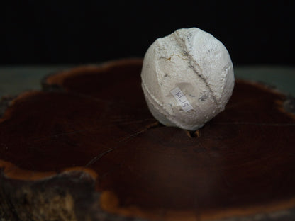 Ishida Kazuya Guinomi 45 ml