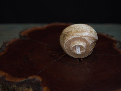 Ishida Kazuya Guinomi 50 ml