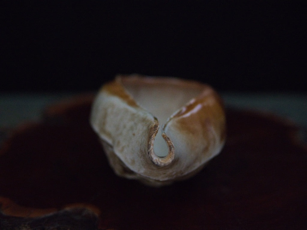 Ishida Kazuya Chahai 110 ml