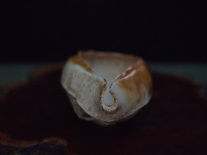 Ishida Kazuya Chahai 110 ml