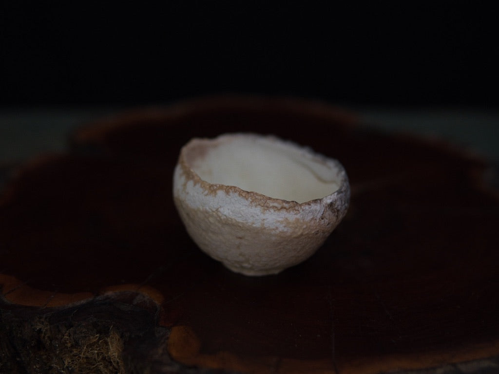 Ishida Kazuya Guinomi 40 ml