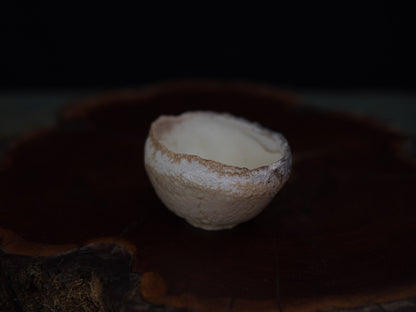 Ishida Kazuya Guinomi 40 ml