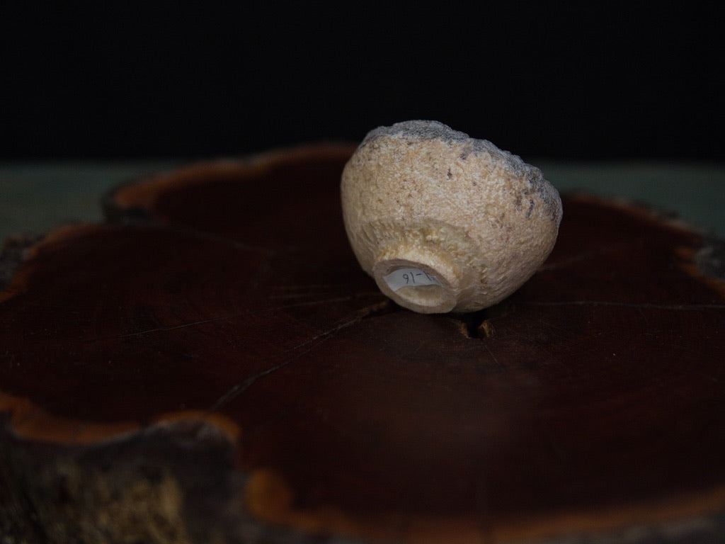 Ishida Kazuya Guinomi 40 ml