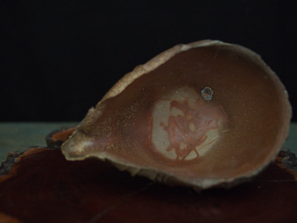 Ishida Kazuya Chahai 250 ml