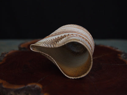 Ishida Kazuya Chahai 150 ml