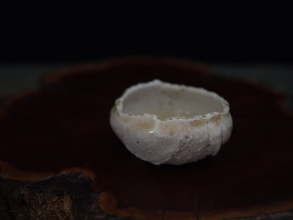 Ishida Kazuya Guinomi 45 ml