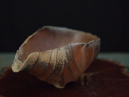 Ishida Kazuya Chahai 250 ml