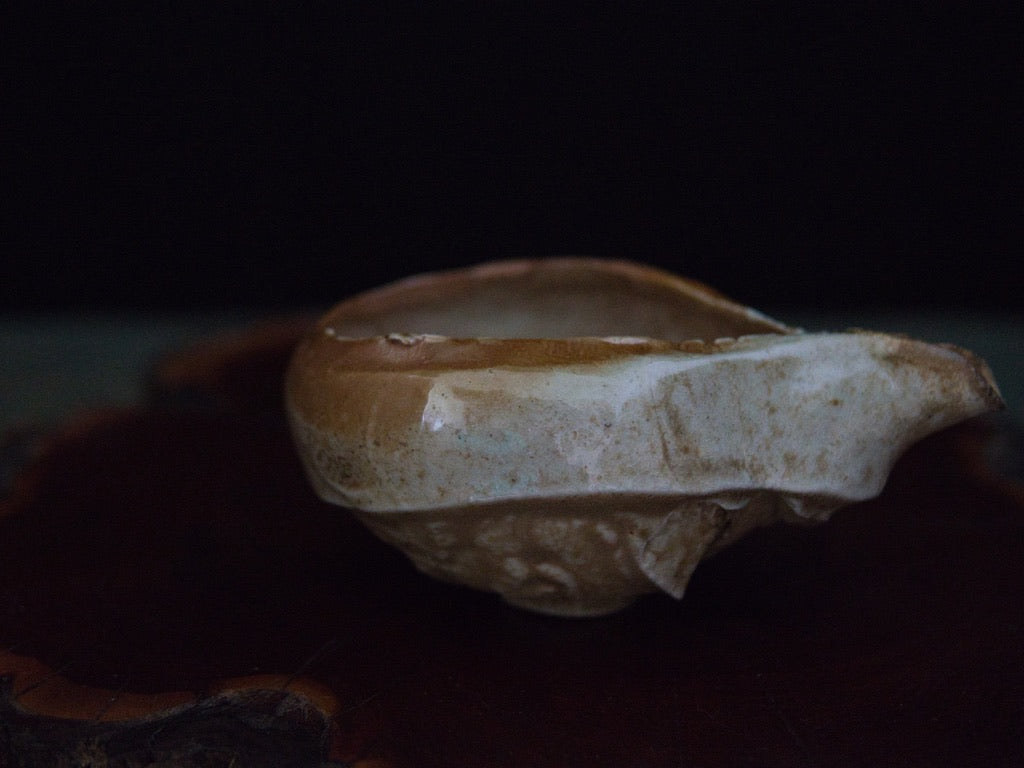 Ishida Kazuya Chahai 110 ml