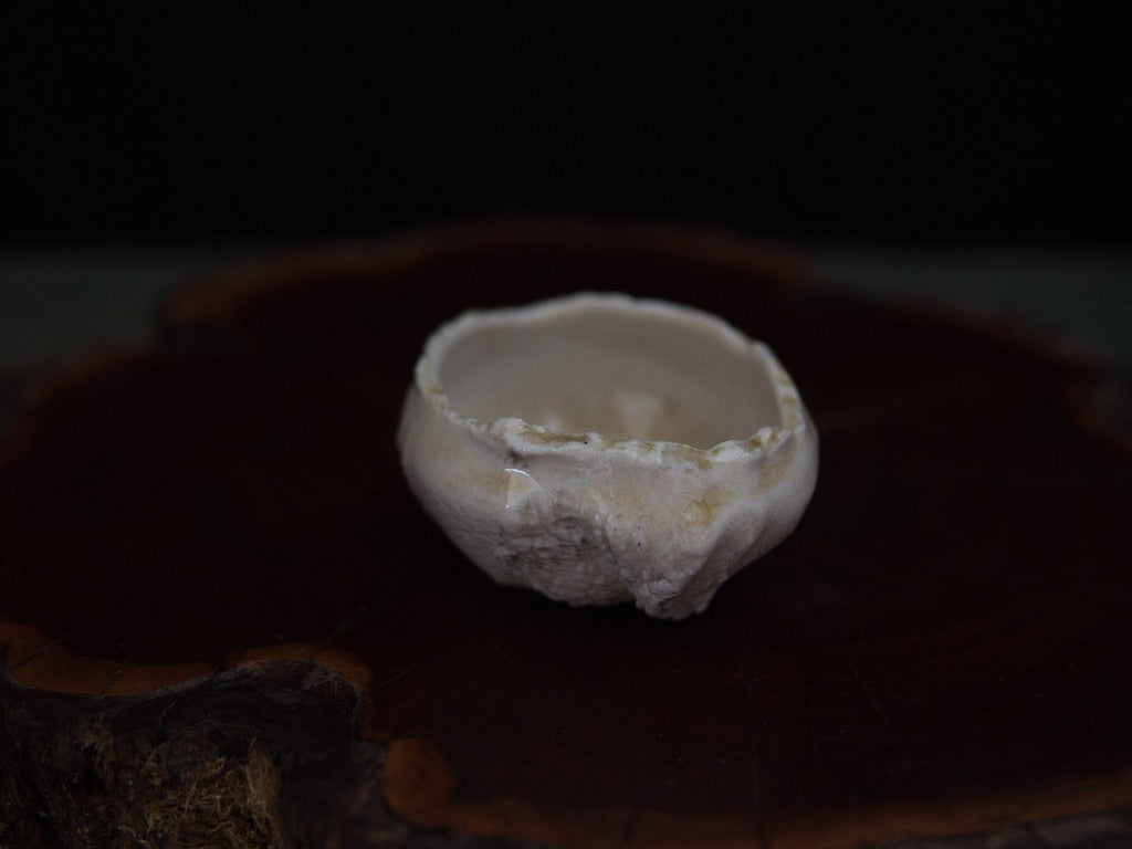 Ishida Kazuya Guinomi 45 ml