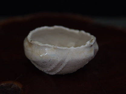 Ishida Kazuya Guinomi 45 ml