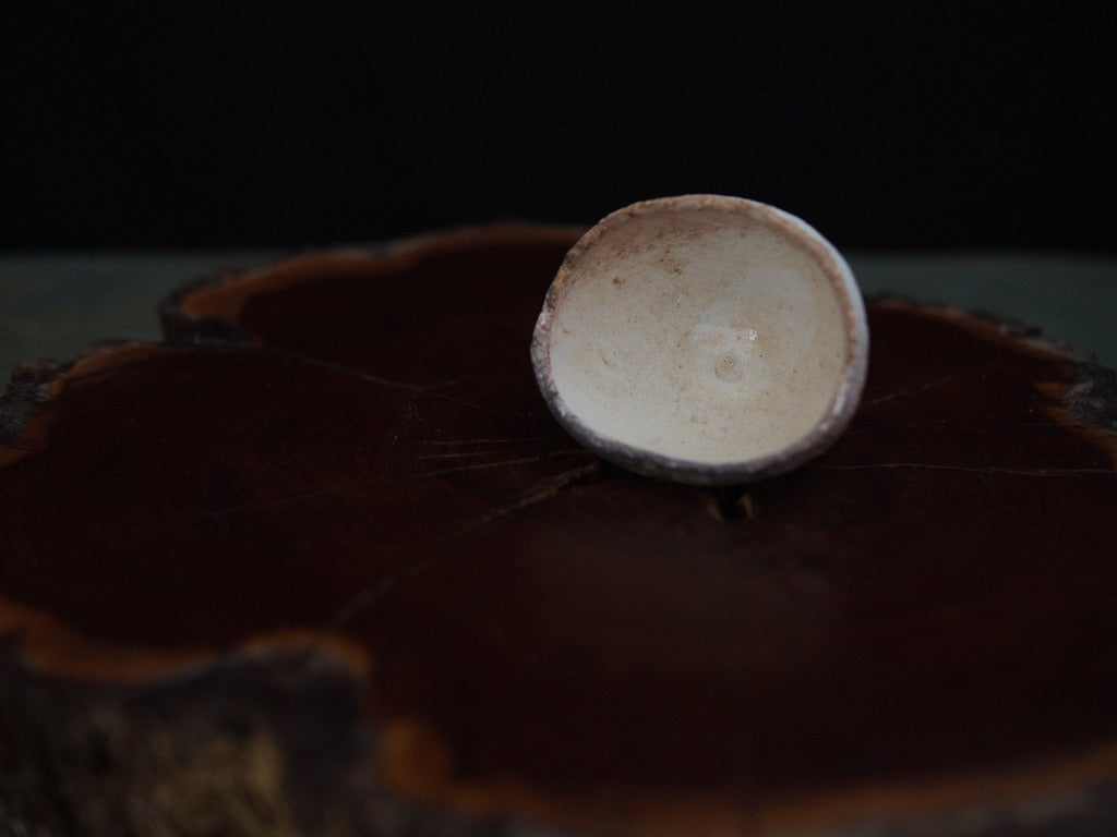 Ishida Kazuya Guinomi 40 ml