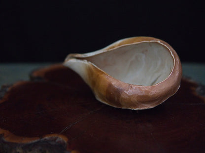 Ishida Kazuya Chahai 110 ml