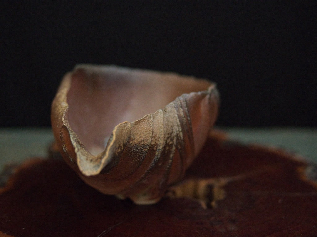 Ishida Kazuya Chahai 250 ml