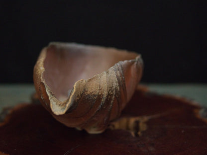 Ishida Kazuya Chahai 250 ml