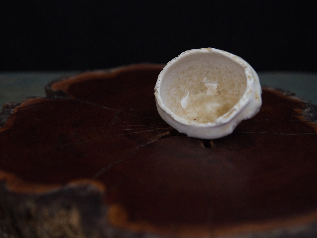 Ishida Kazuya Guinomi 45 ml