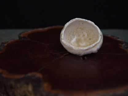 Ishida Kazuya Guinomi 45 ml