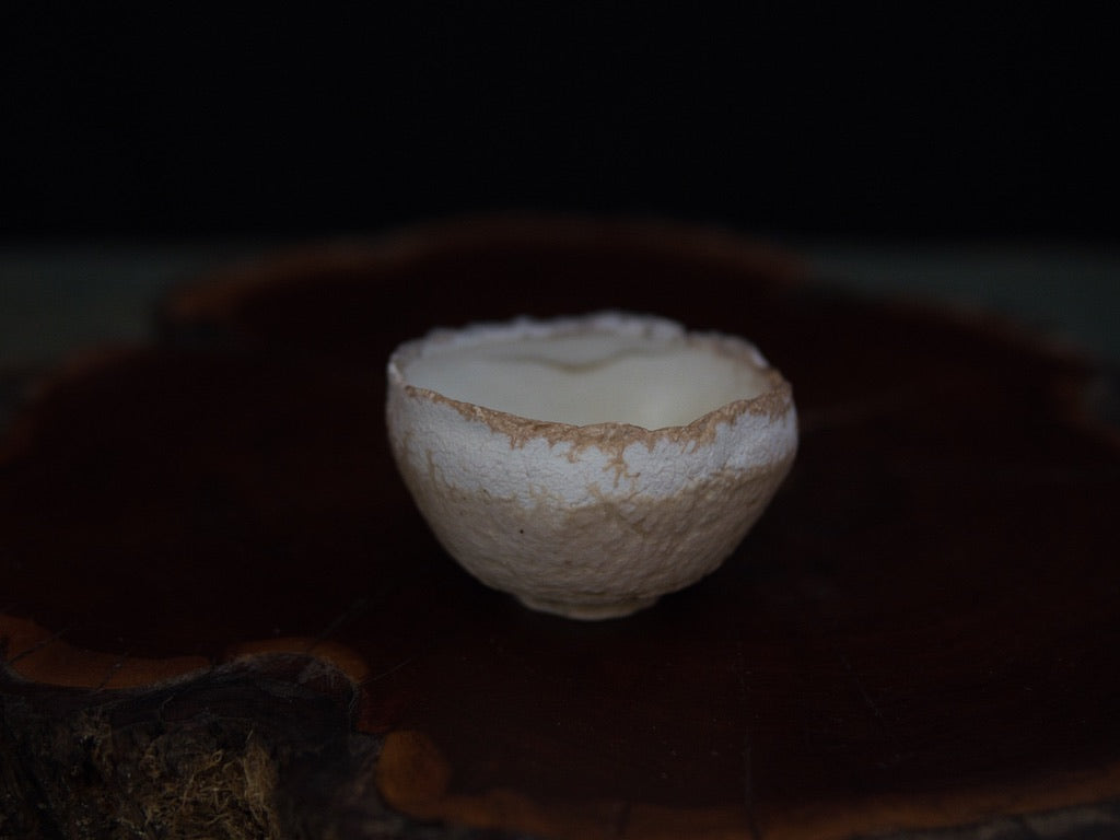 Ishida Kazuya Guinomi 40 ml