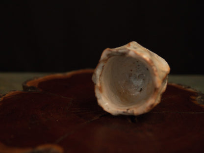 Atarashi Manabu Shino Guinomi 80ml