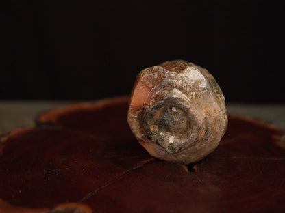 Atarashi Manabu Iga Guinomi 70ml