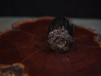 Yanashita Hideki Raku Guinomi 60 ml