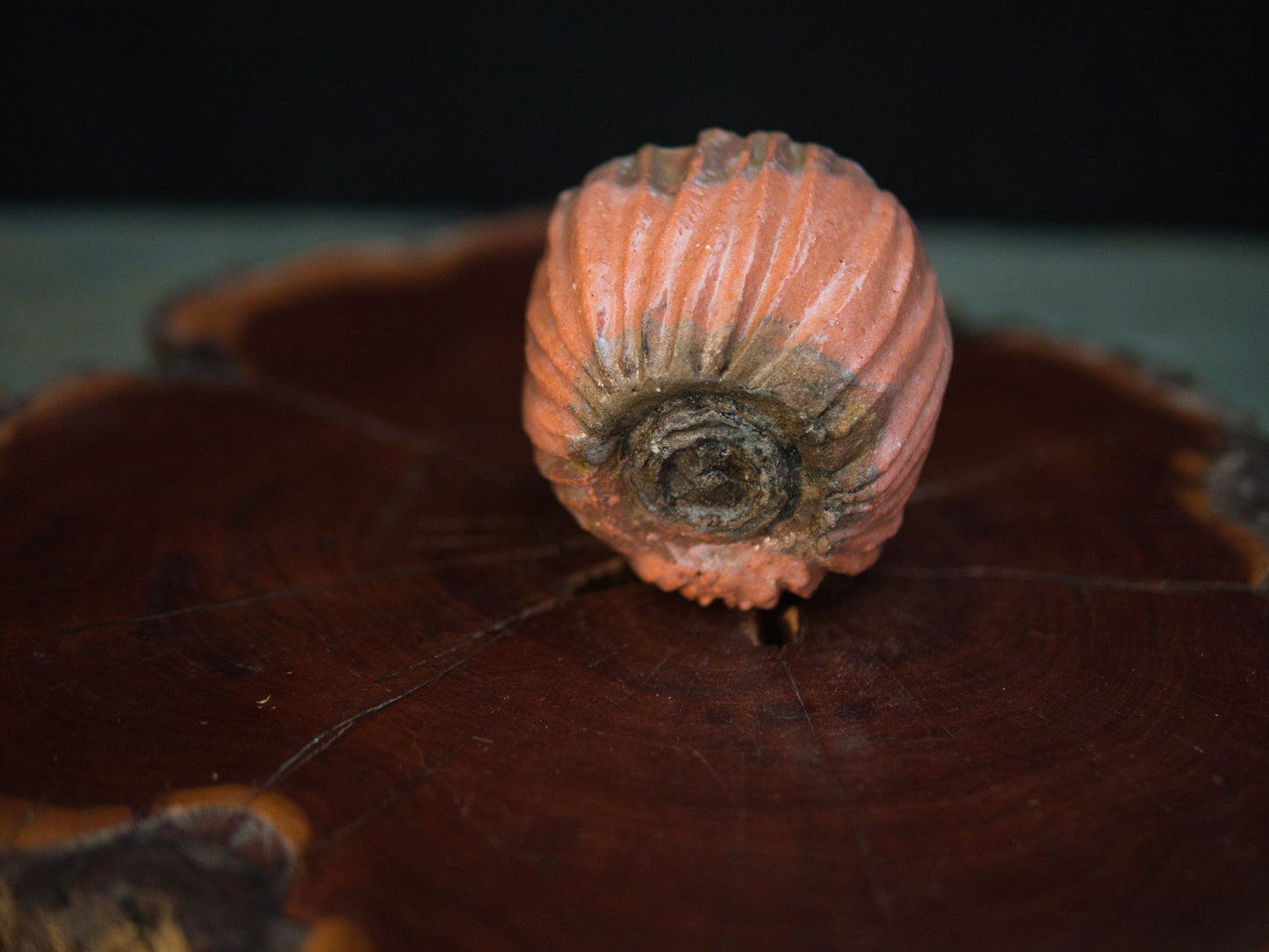 Yanashita Hideki Raku Guinomi 80 ml