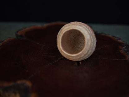 Yanashita Hideki Shigaraki Guinomi 60 ml