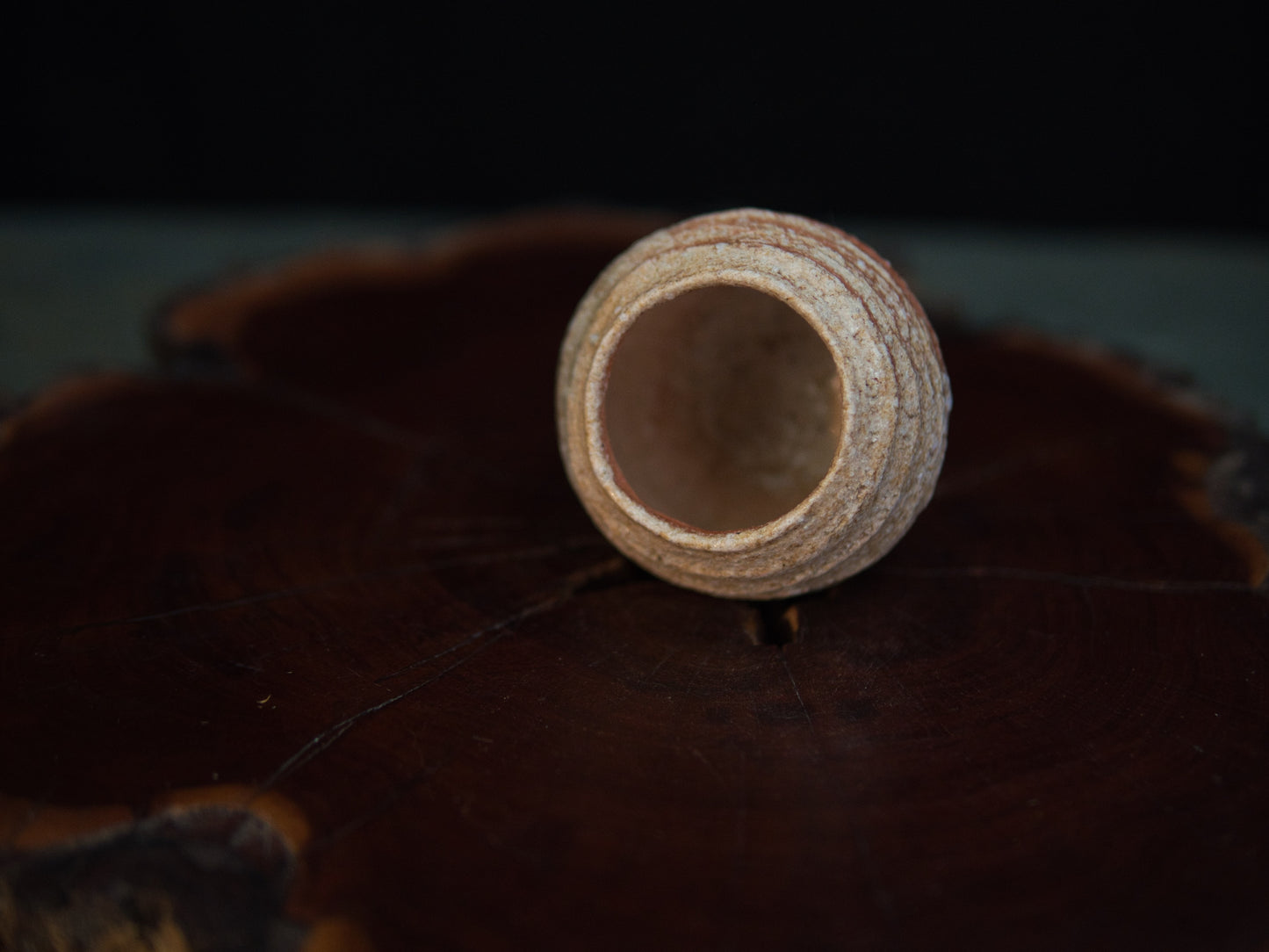 Yanashita Hideki Shigaraki Guinomi 60 ml