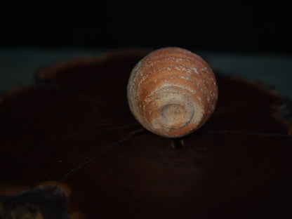 Yanashita Hideki Shigaraki Guinomi 60 ml