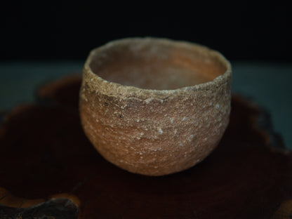Yanashita Hideki Shigaraki Chawan