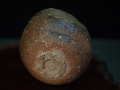 Yanashita Hideki Shigaraki Chawan