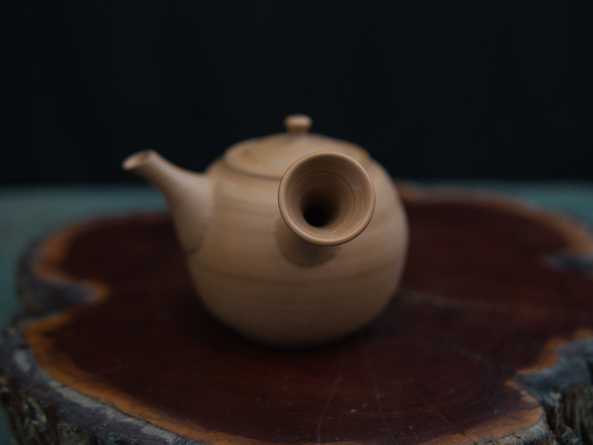 Gisui Honshudei Kyûsu 230 ml