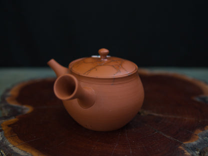 Gyokkô II. Kyûsu 240 ml
