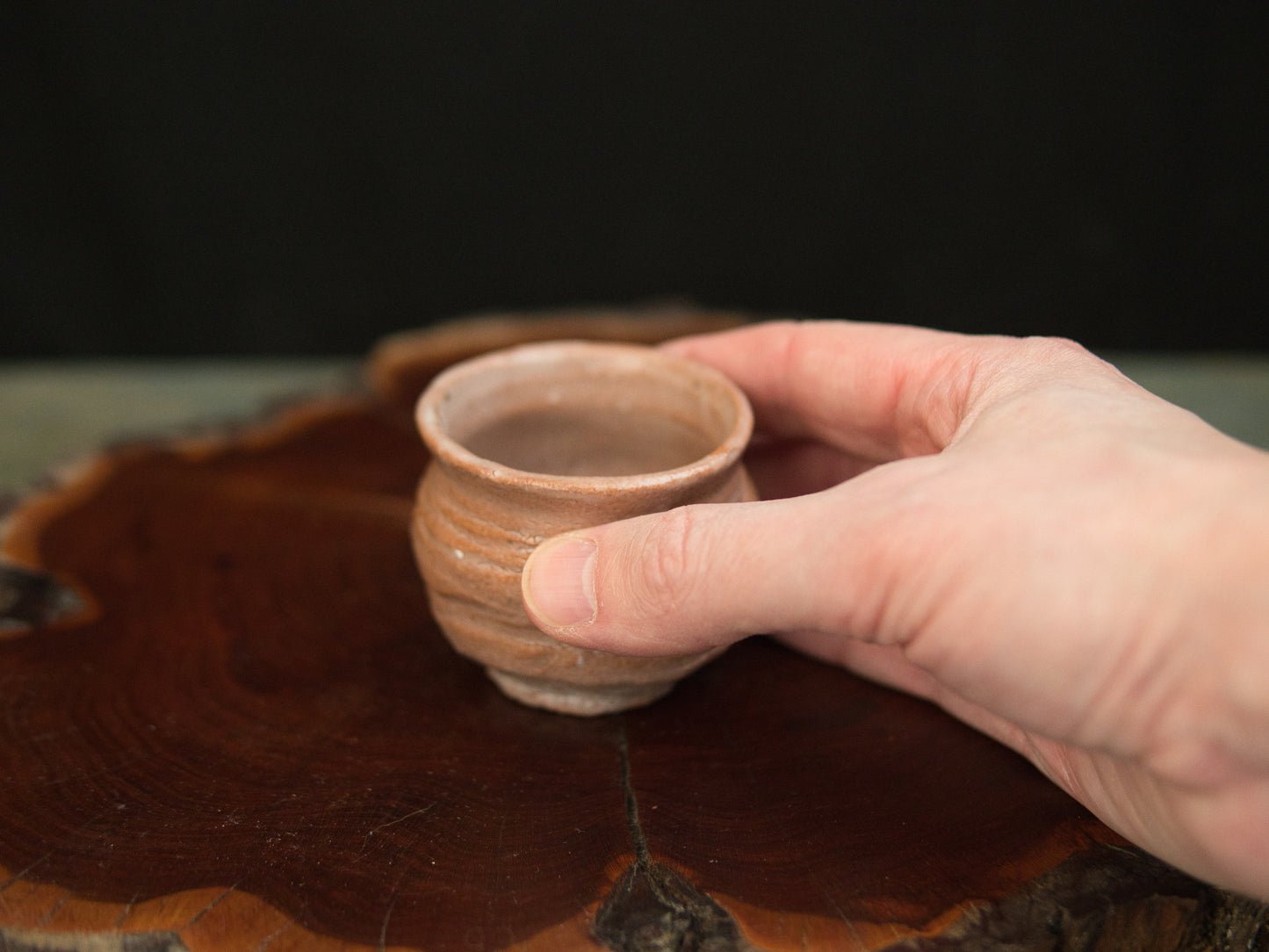 Koga Kenji Guinomi 70 ml