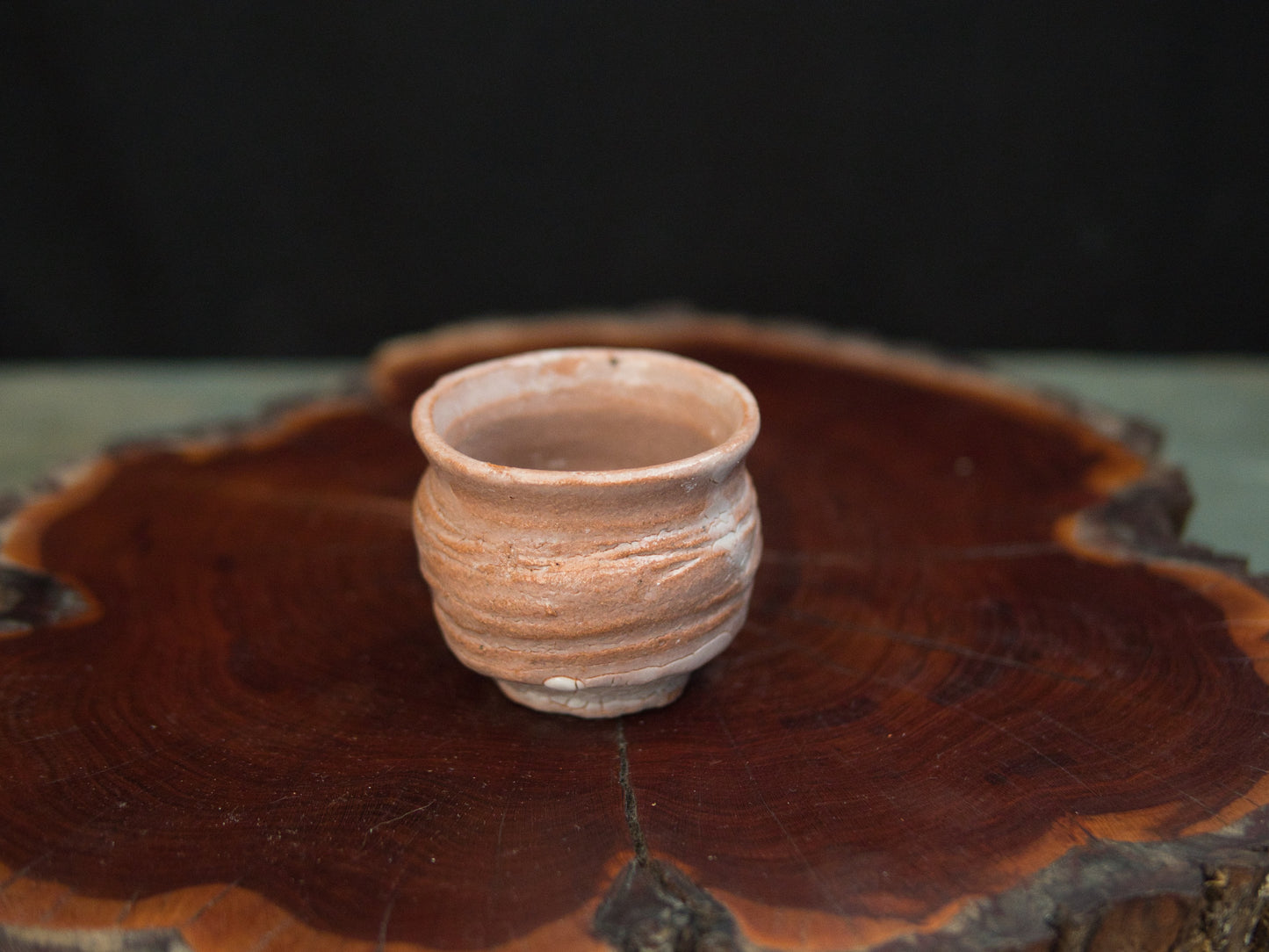 Koga Kenji Guinomi 70 ml