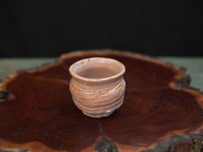 Koga Kenji Guinomi 70 ml