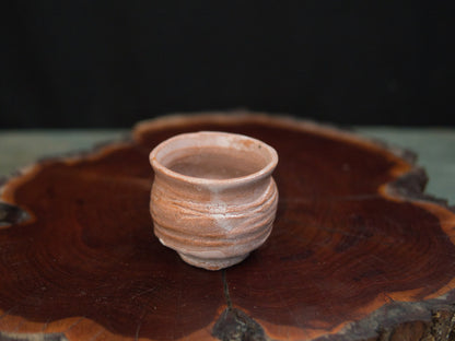 Koga Kenji Guinomi 70 ml